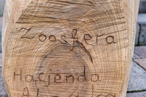 Rzeźba na licytację dla Sursum Corda 3