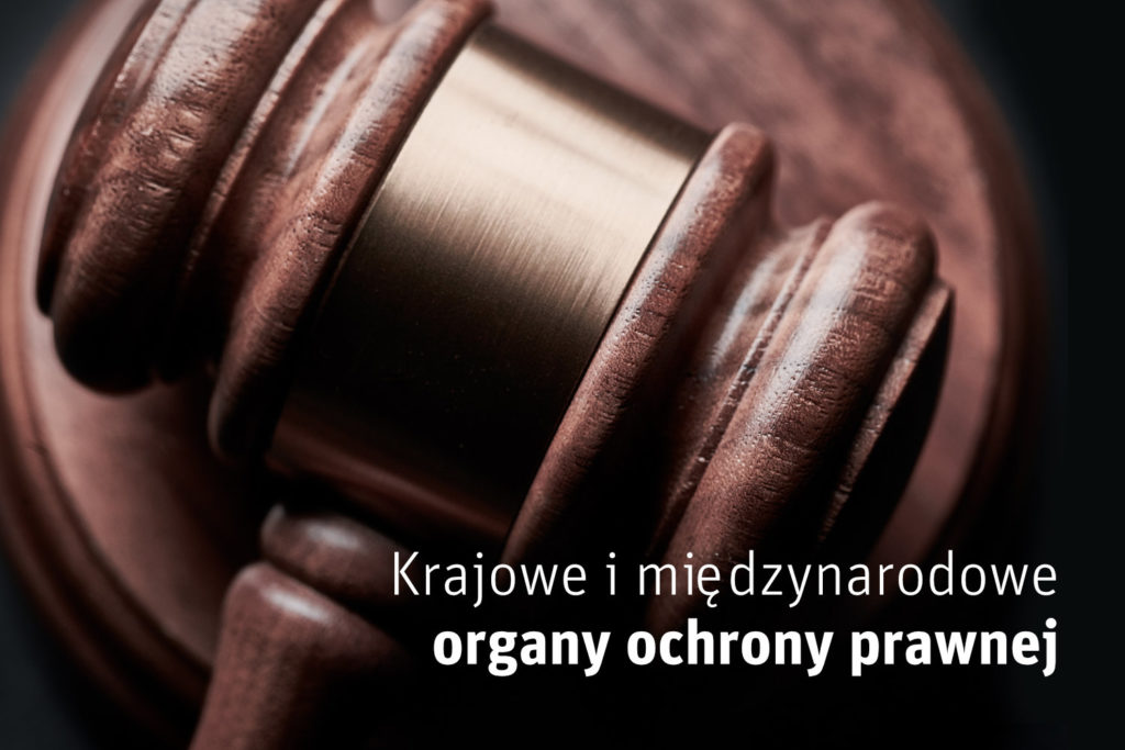 20210811-krajowe-i-miedzynarodowe-organy-ochrony-prawnej-01