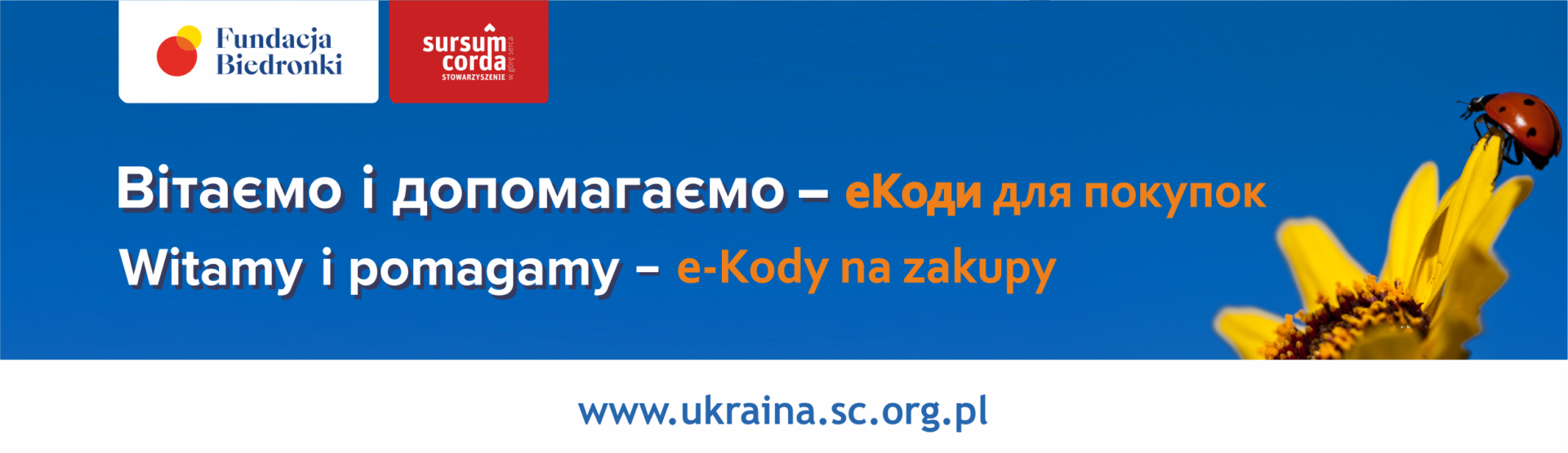 e-KodyNaZakupy_Biedronka_GoogleForms_graf
