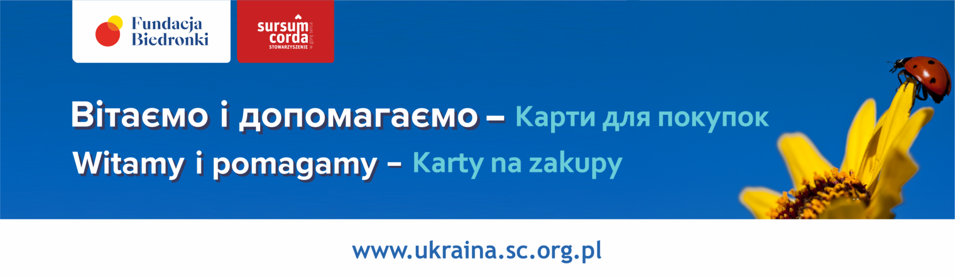 KartyNaZakupy_Biedronka_GoogleForms_graf