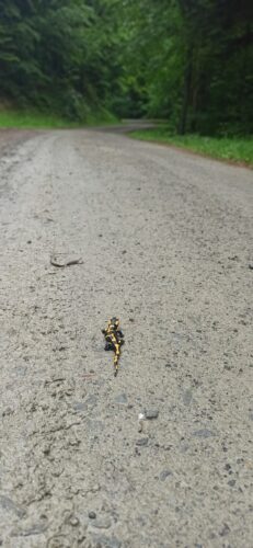IMG_20220604_095312