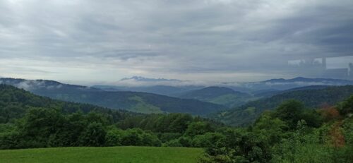 IMG_20220604_110435 (1)