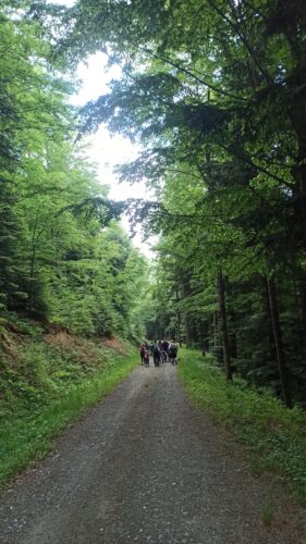 IMG_20220605_120722