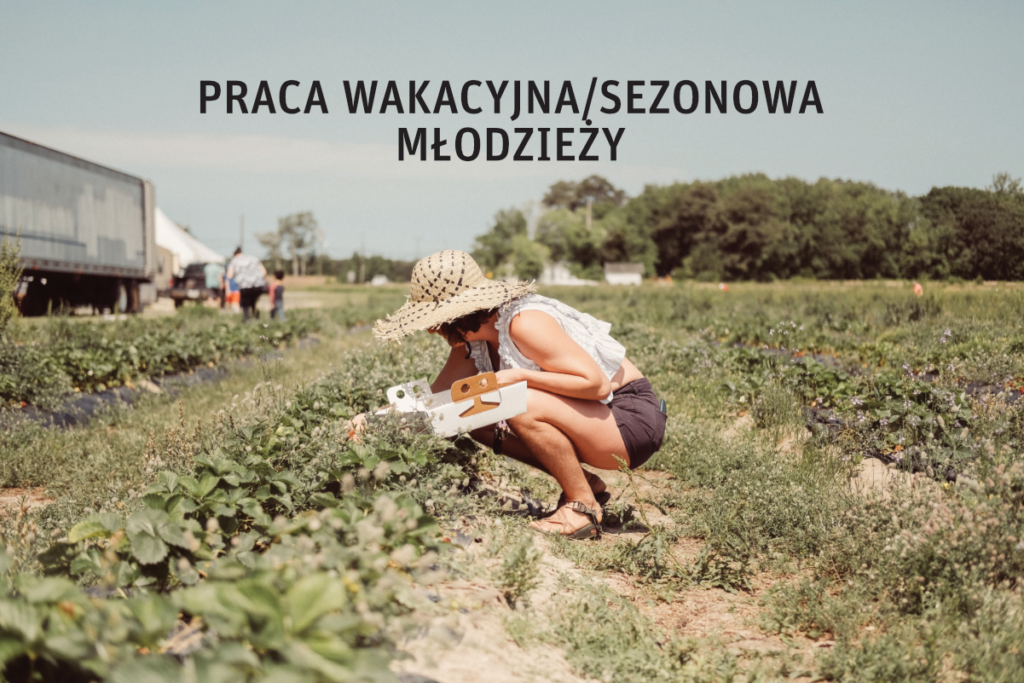 VI-Praca wakacyjna sezonowa młodzieży