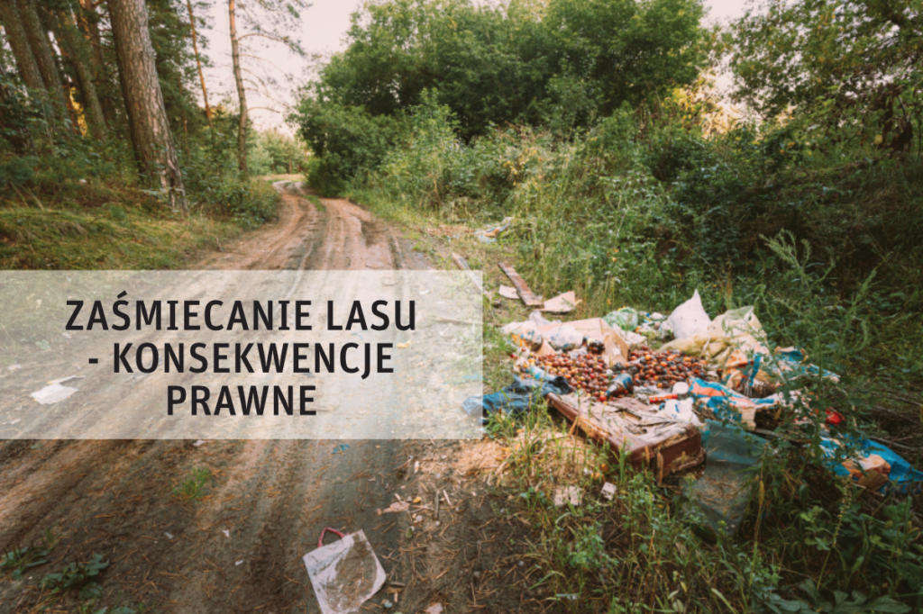 VIII - Zaśmiecanie-lasu-konsekwencje-prawne-graf
