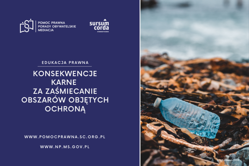 Konsekwencje karne za zaśmiecanie obszarów objętych ochroną