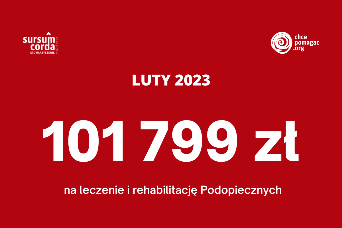 CP_wydatki luty 2023