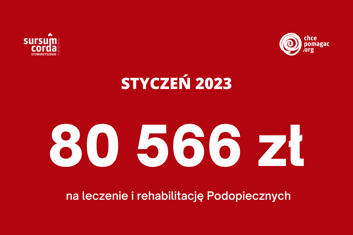 CP_wydatki styczen 2023