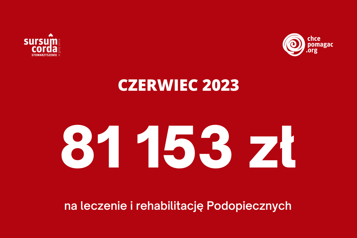 Wydatki z programu chcepomagac.org w czerwcu 2023 - 81 153 złote