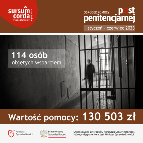Grafika podsumowująca OPP - I półrocze 2023