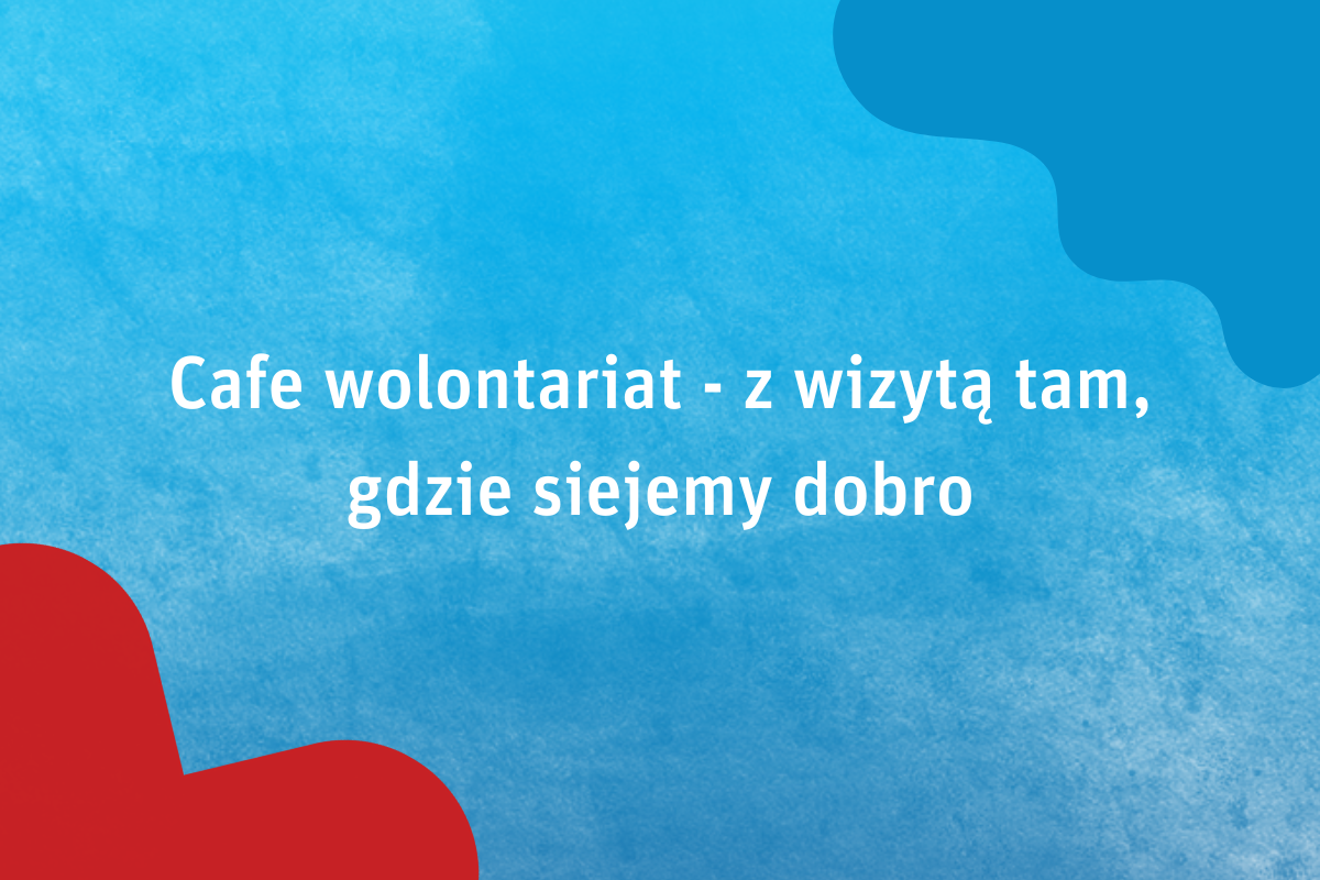 FW 2024 - warsztat 1 (1200x800)