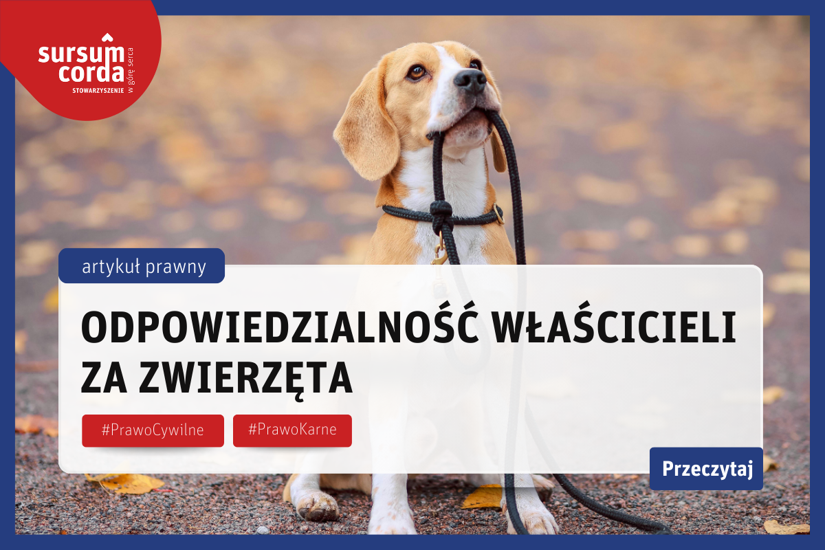 Odpowiedzialność właściciela za zwierzęta